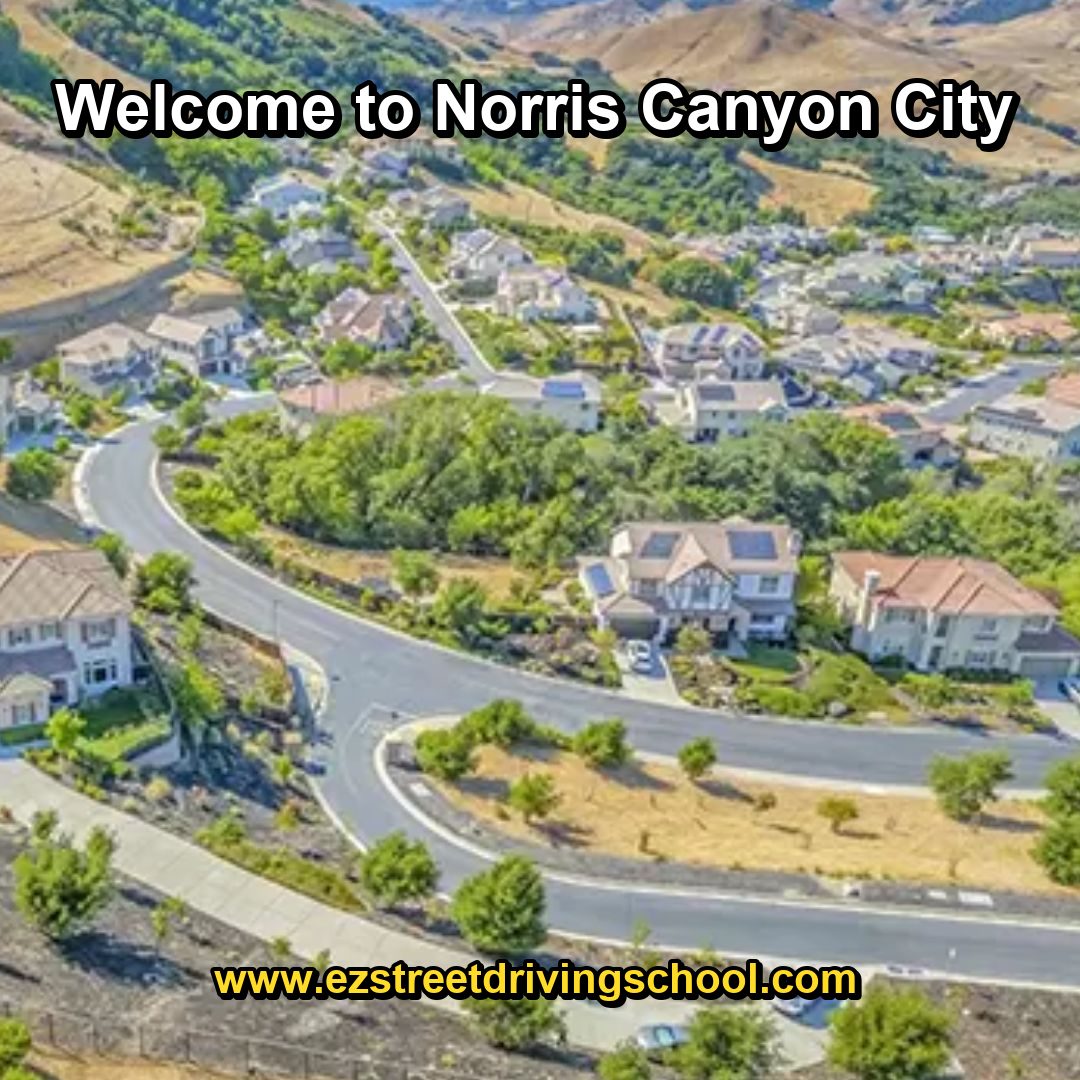Driving Lessons in Norris Canyon
